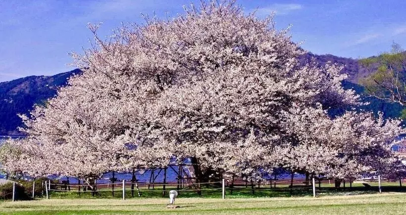 هتل Trip7 Hakone Sengokuhara Onsen