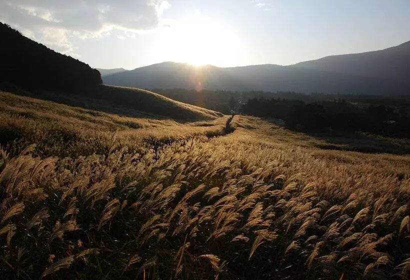 هتل Trip7 Hakone Sengokuhara Onsen