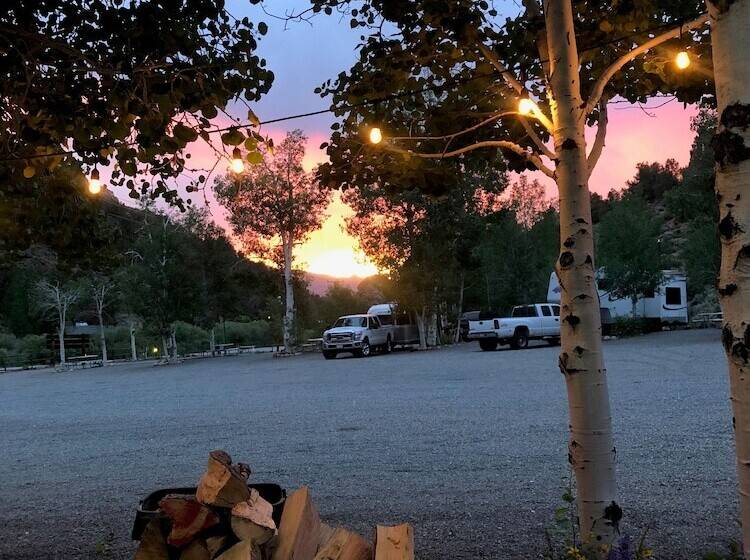 酒店 Willow Springs Resort