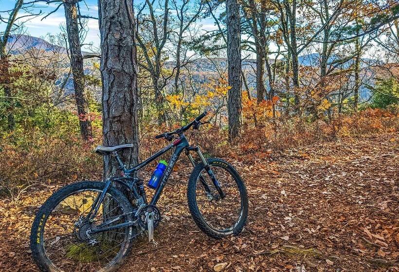 Love Ridge Mountain Lodging