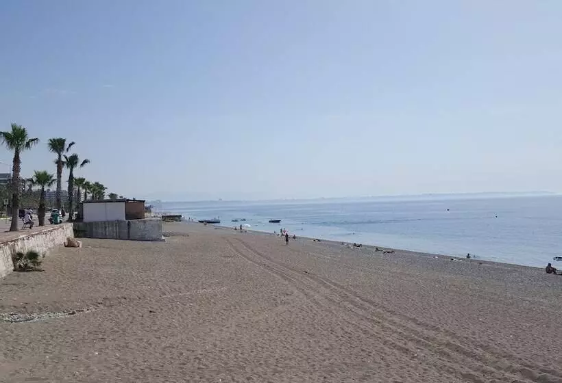 Mango Suite Apartment