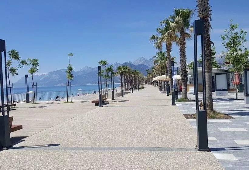 Mango Suite Apartment