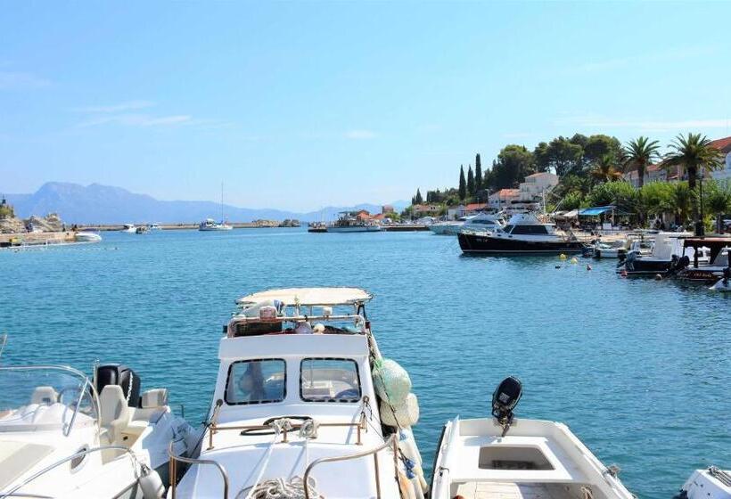 פנסיון Guesthouse Aurora