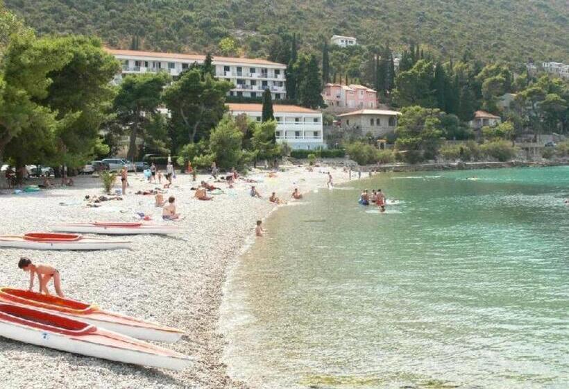 פנסיון Guesthouse Aurora