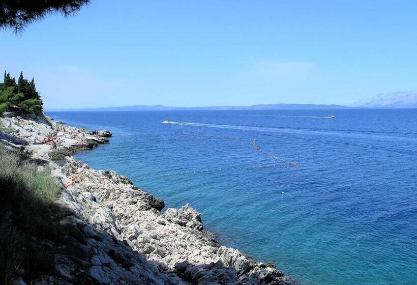 פנסיון Guesthouse Aurora