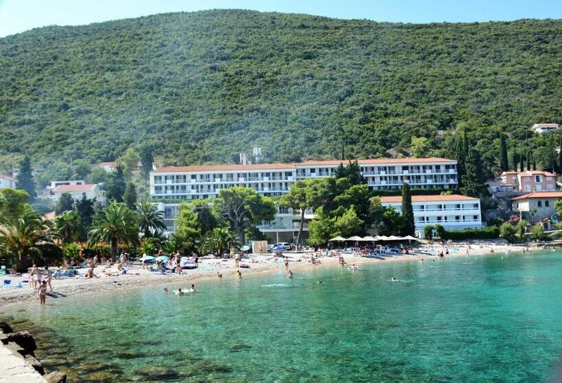 פנסיון Guesthouse Aurora