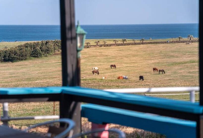 פנסיון Jeju Ohu Guest House