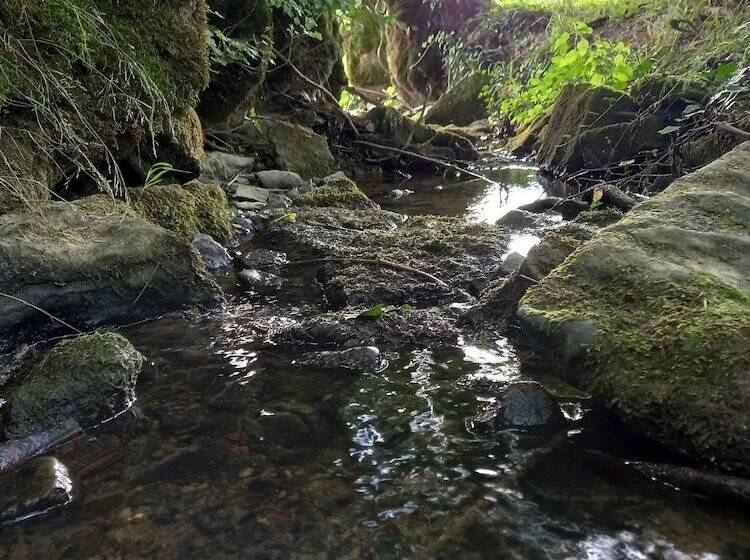 פנסיון Maison Althaus