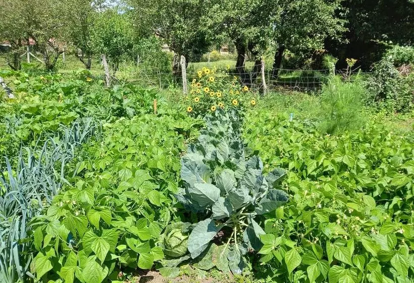 Majatalo Maison Althaus