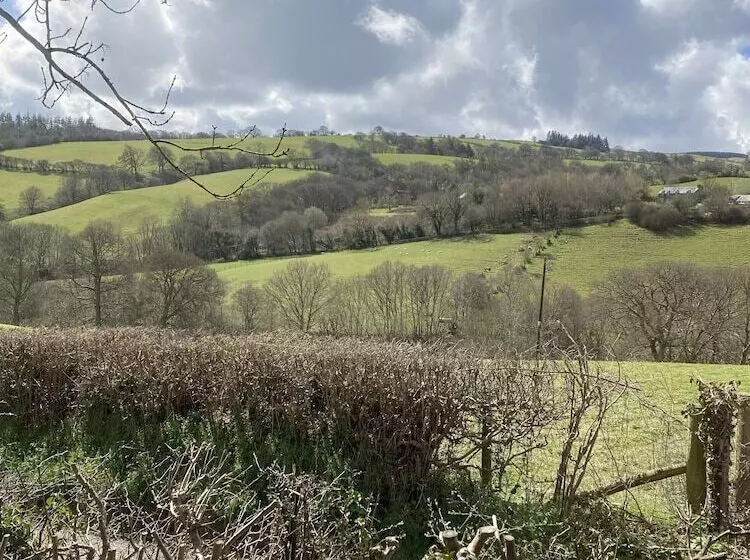 Stunning 2 Bed Cabin In Nantglyn Denbigh