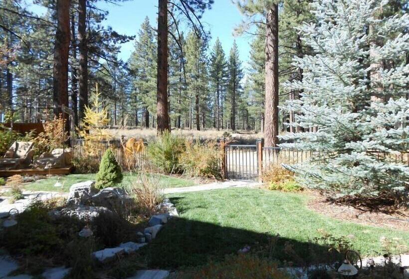 Stunning Forest Retreat   Walk To Upper Truckee River!