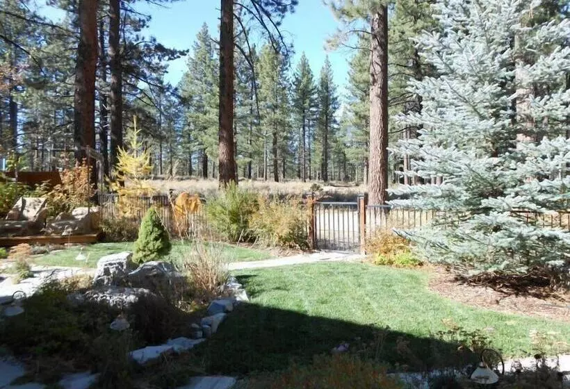 Stunning Forest Retreat   Walk To Upper Truckee River!