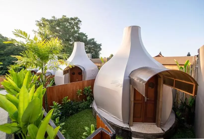 Triyana Resort And Glamping