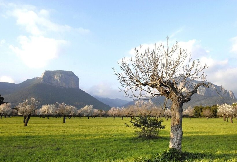 هتل Alaro Natura Rural Suites