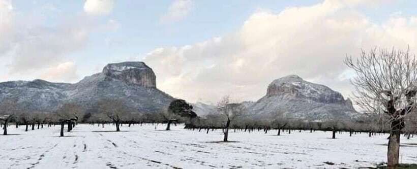 هتل Alaro Natura Rural Suites