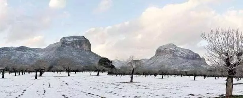 Hotelli Alaro Natura Rural Suites