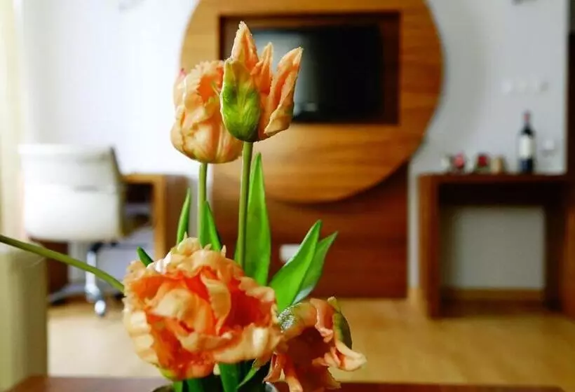 Hotelli Platinum Ostróda