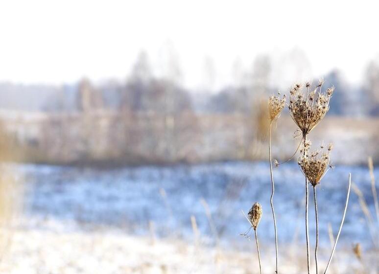 호텔 Platinum Ostróda