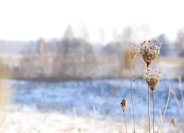 Hotelli Platinum Ostróda