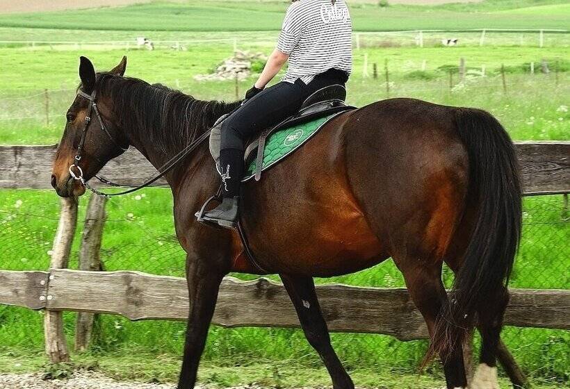 호텔 Platinum Ostróda