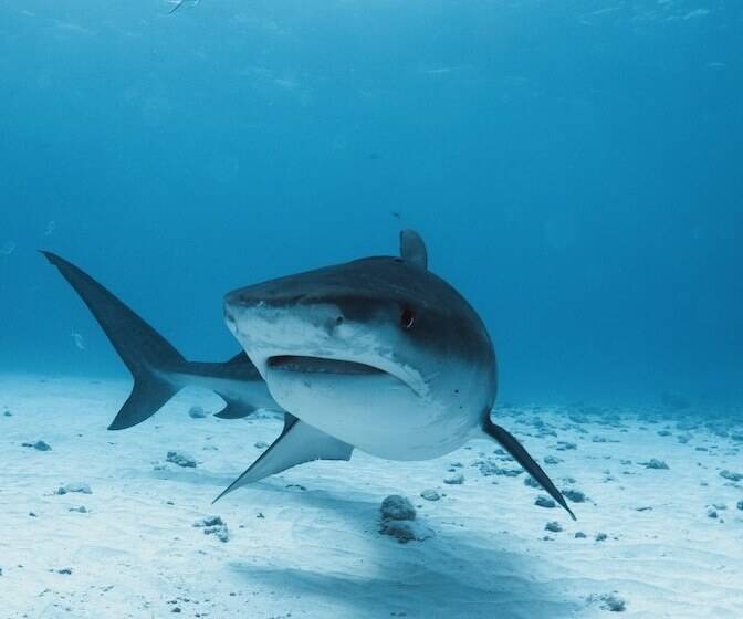 هتل Ataraxis Grand And Spa