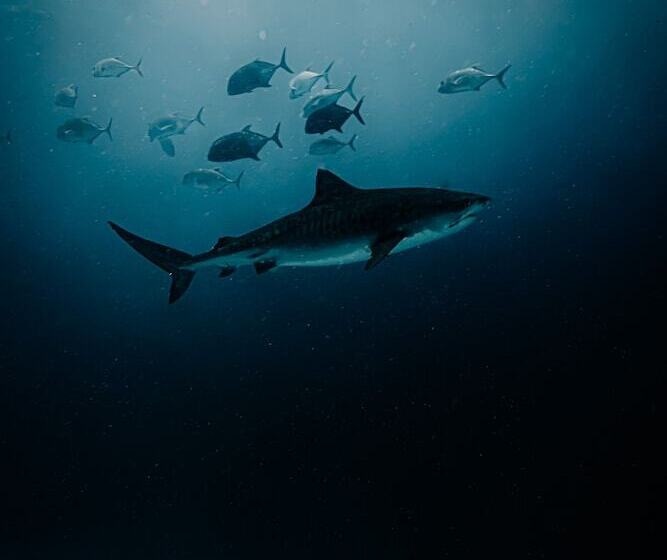 هتل Ataraxis Grand And Spa