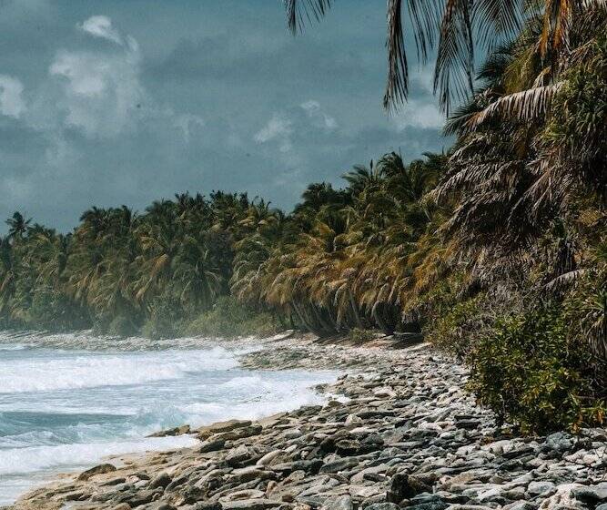 هتل Ataraxis Grand And Spa