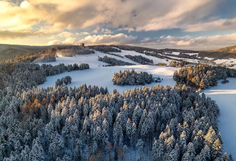 Belmonte Hotel Krynica Zdrój