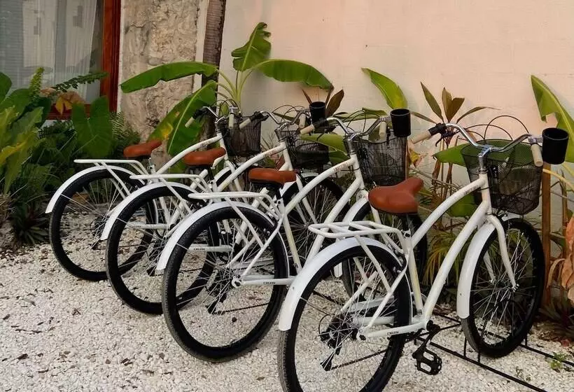 Hotelli Cabañas Laguna