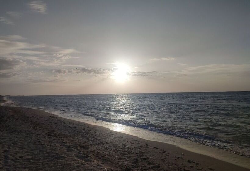 ホテル Club De Patos