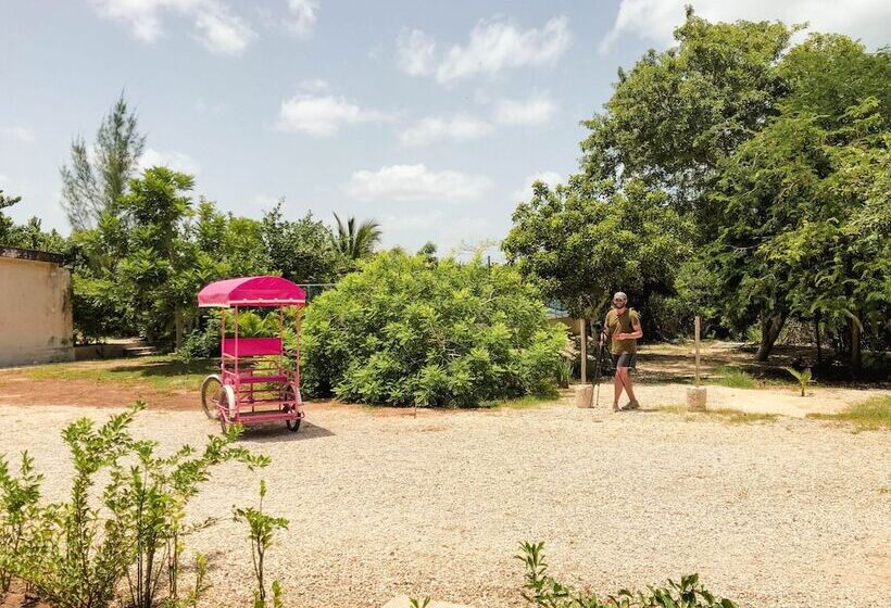 ホテル Club De Patos