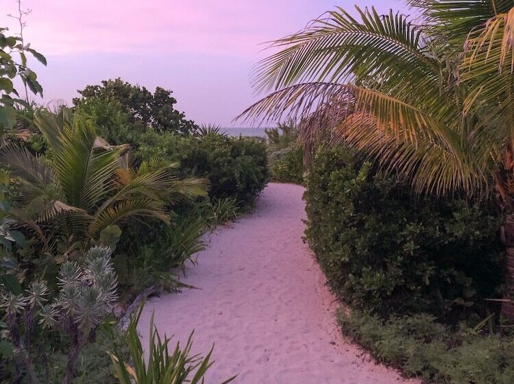 ホテル Club De Patos