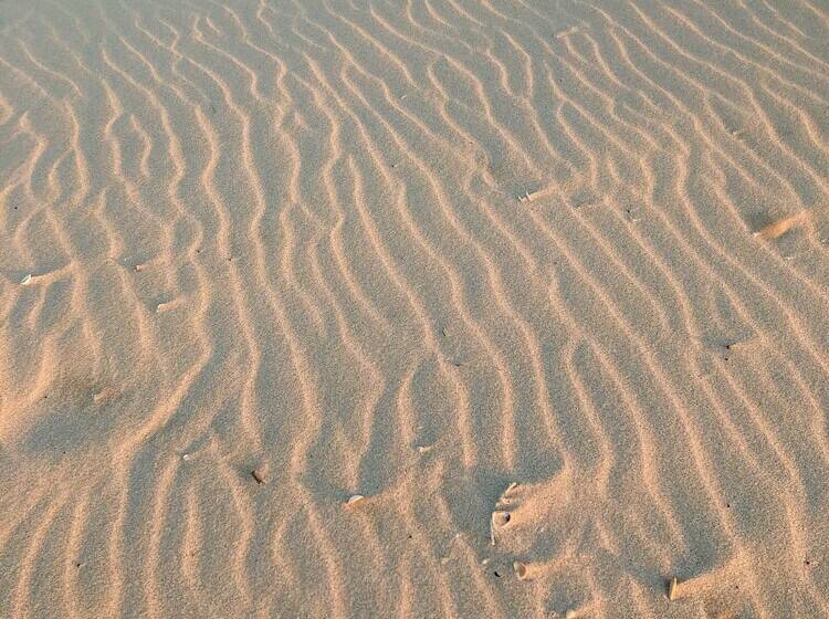 ホテル Club De Patos