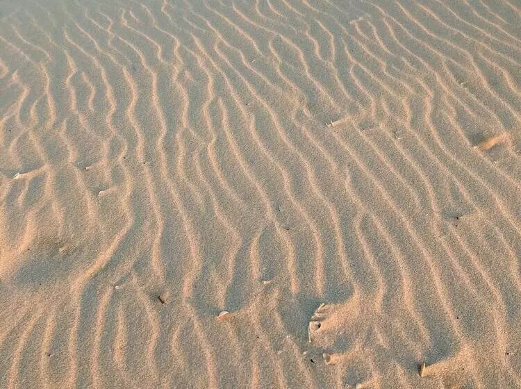 Hotelli Club De Patos