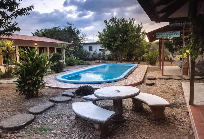 هتل Cocodrilo Sierpe