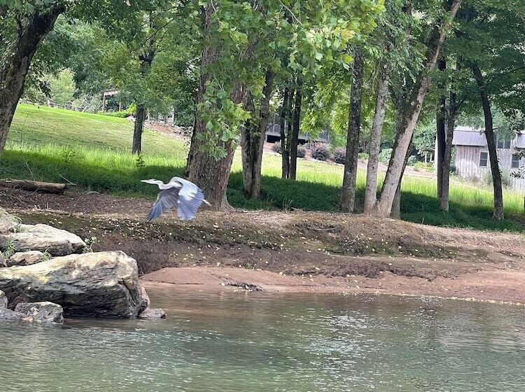 酒店 River Wellness Lodge