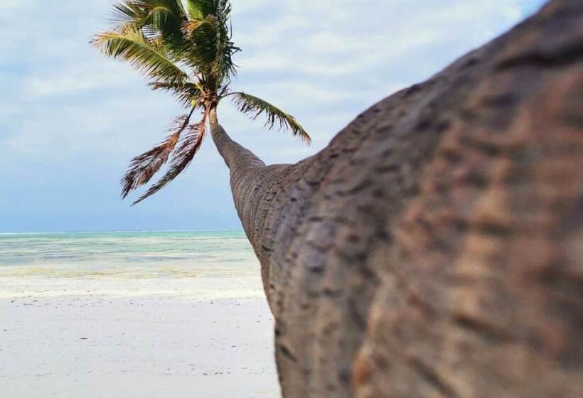 酒店 Serenity House Zanzibar