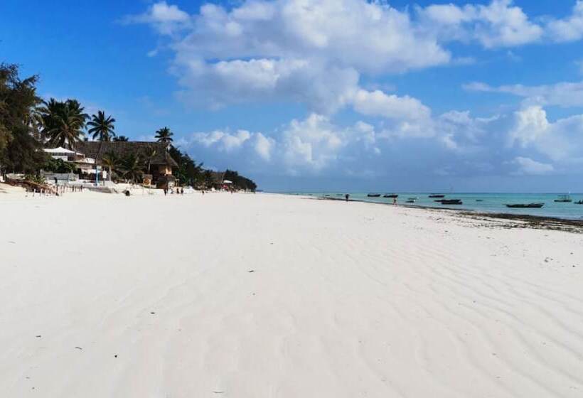 酒店 Serenity House Zanzibar