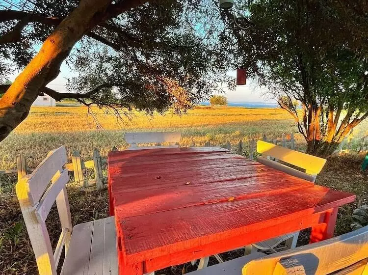 هتل Tenedos Tatil Odaları