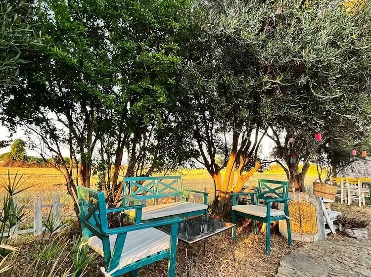 هتل Tenedos Tatil Odaları
