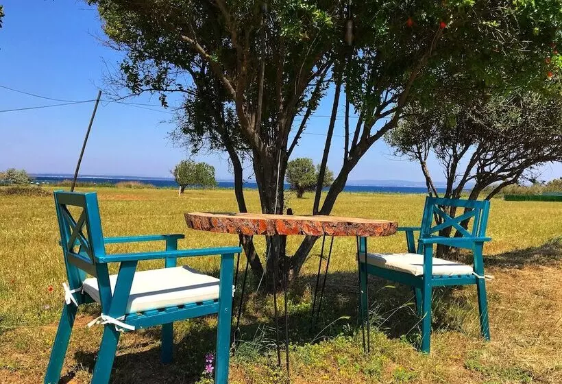 هتل Tenedos Tatil Odaları