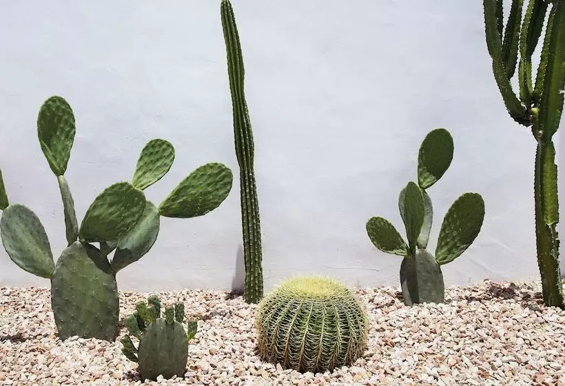 Hotelli Tessa S On The Beach Boutique