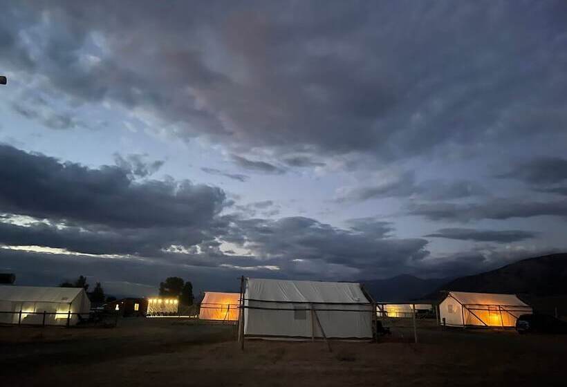 Отель Yellowstone Dreamin Camp
