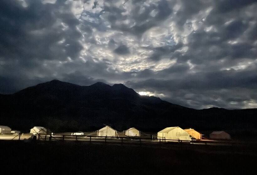 Отель Yellowstone Dreamin Camp