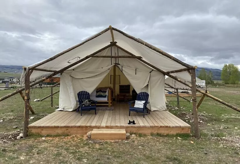 Hotelli Yellowstone Dreamin Camp
