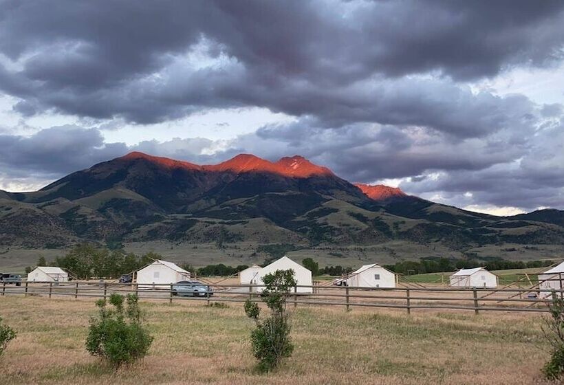 Отель Yellowstone Dreamin Camp