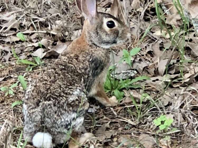 Outcast Landing   A Fisherman S Paradise