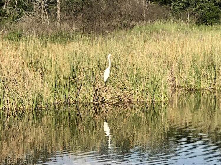 Outcast Landing   A Fisherman S Paradise