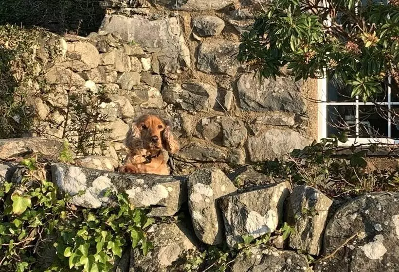 Beautiful Cottage Near Harlech With Ocean Views