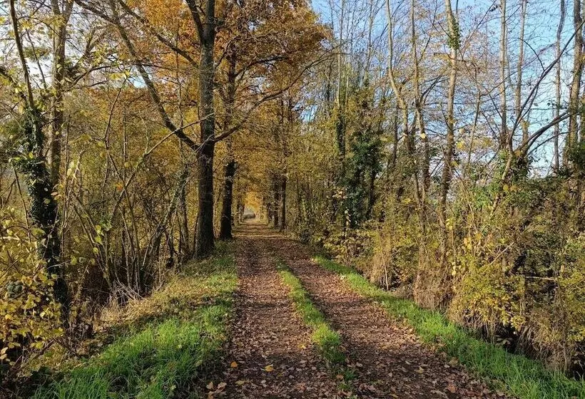 Aamiaismajoitus (B&B) Christine Scuflaire